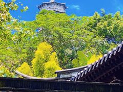 -深圳国际园林花卉博览园