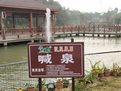 -清境桃源