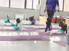 -舞蕾舞蹈(特长生校区)