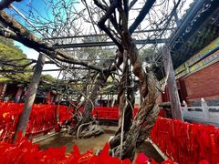 -红螺寺