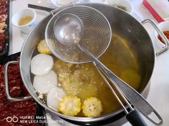 -陈记顺和潮汕牛肉火锅(番禺迎宾大道店)