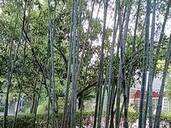 -故乡缘·香格里拉山庄(冷竹路店)