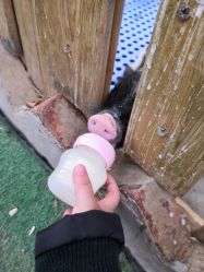 -萌宠亲子动物乐园(槐房万达店)