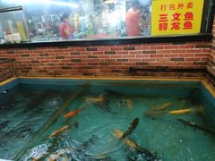 -醉美东江·三文鱼·烧鸡公