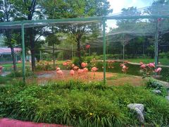 -辛玛王国游乐园