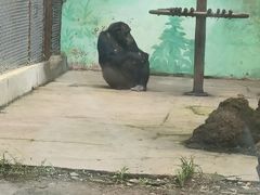 -沈阳森林动物园