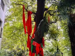 -敬亭山风景名胜区