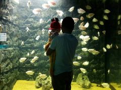 -秦皇岛乐岛海洋王国