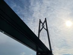 -招商蛇口邮轮母港(观光客运)
