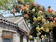 -北京国子监胡同