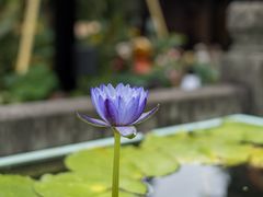 -钱王祠