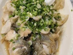 香葱淋鲈鱼-粤·向群饭店(龙津东路总店)