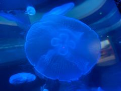 -常州海昌海洋探索馆