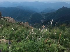 -白草畔自然风景区