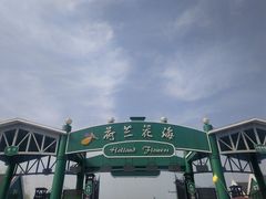 -荷兰花海
