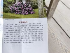 -三千院