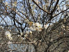 -广州市流溪河国家森林公园