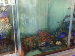 -旅南活海鲜-屏东(墾丁海鮮，海鮮餐廳，墾丁團體合菜，平價熱炒，墾丁熱炒店，活海鮮推薦，在地海鮮餐廳)