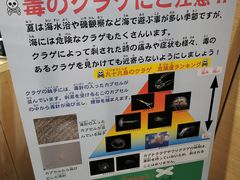 -西海国立公园九十九岛水族馆