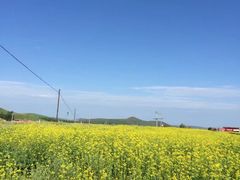 -张北坝上草原