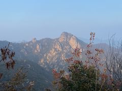 -大岭沟猕猴桃谷风景区