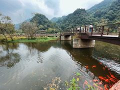-五泄景区