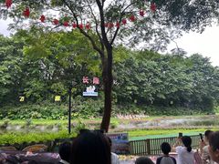 -广州长隆飞鸟乐园