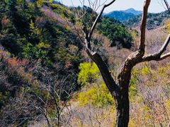 -蟠龙山长城景区