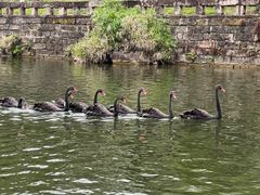 -两江国际影视城