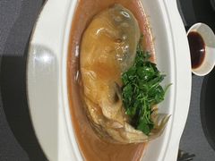 -沈灶河豚宴·河豚融合餐厅(汉中路店)