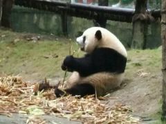 -闻道来火锅(中兴店)