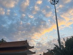 -深圳仙湖植物园
