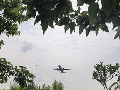 -空港花田景区