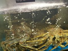 -蟹之国·精品蟹料理(极地店)