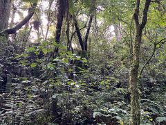 -怀托摩萤火虫洞