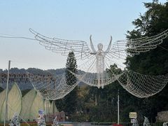 -东南花都花博园
