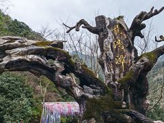 -龙湾潭国家森林公园