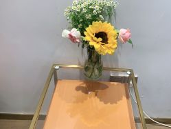 -YESIDO椰岛造型