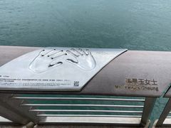 -星光大道