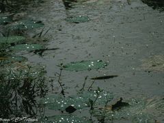 -东钱湖旅游度假区