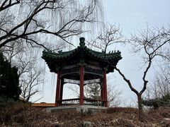 -菖蒲河公园