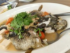 -文东记(马里士他店)