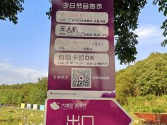 -大塘金香草谷