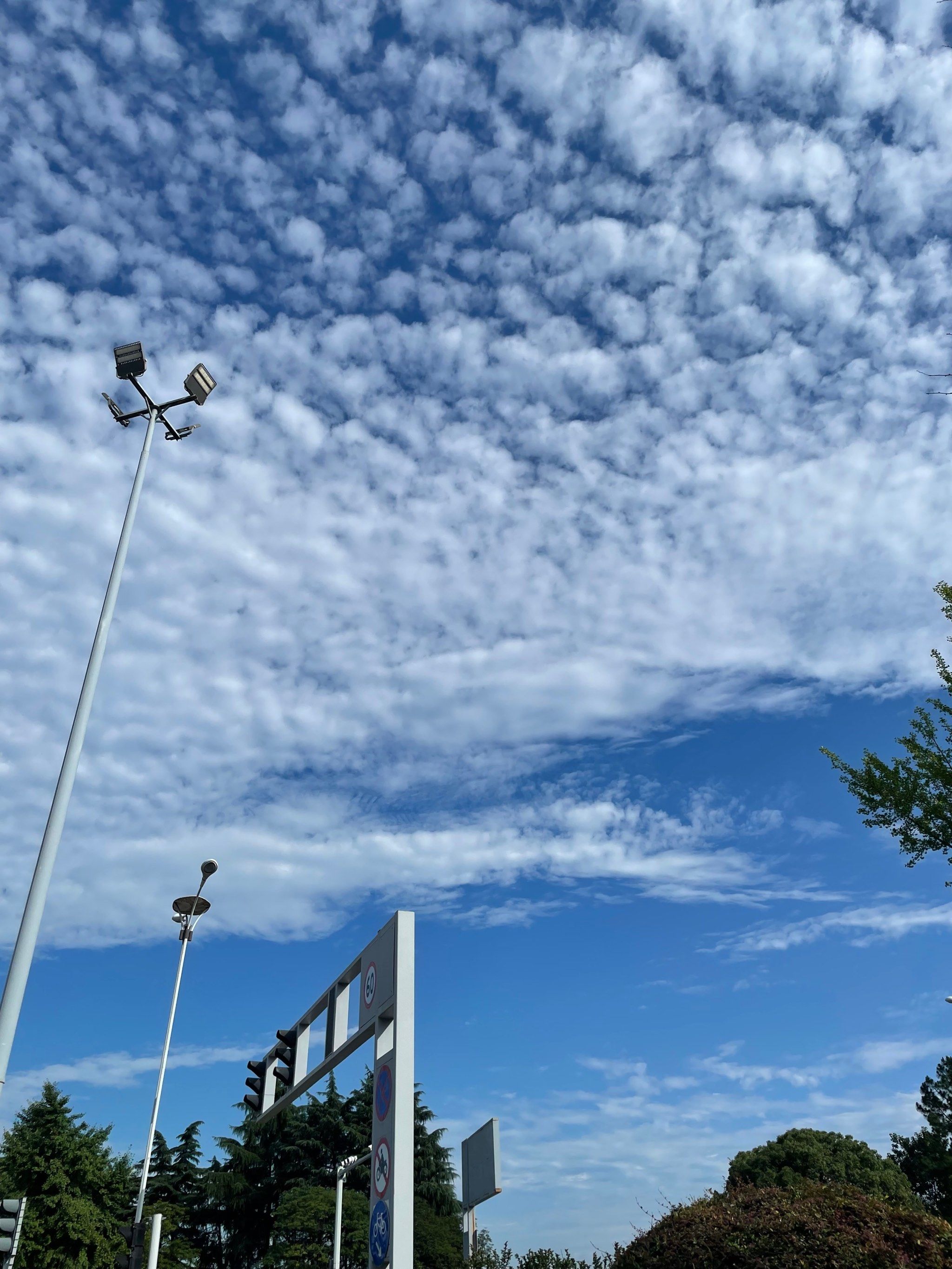 梅雨季的天气是真的好,蓝天白云现在都是比较少见了,难得一大早天气好