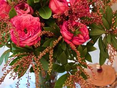 -循礼门鲜花花市(武汉循礼门店)