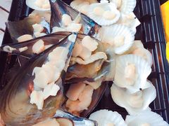 -崇明东平国家森林公园烧烤房车露营地