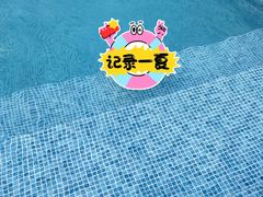 -爪吧宠物乐园·宠物泳池(温榆河示范区店)