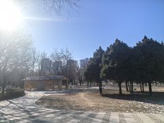 -太阳宫公园