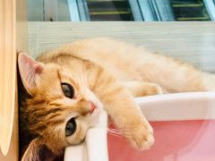 -人民公园(罗湖区)