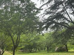 -石家庄市植物园